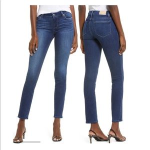 NWT PAIGE JEANS SIZE 29 skyline skinny everdeen